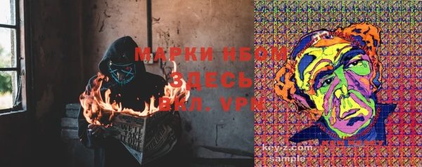 стафф Новокубанск