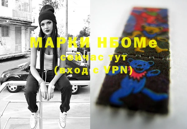 стафф Новокубанск