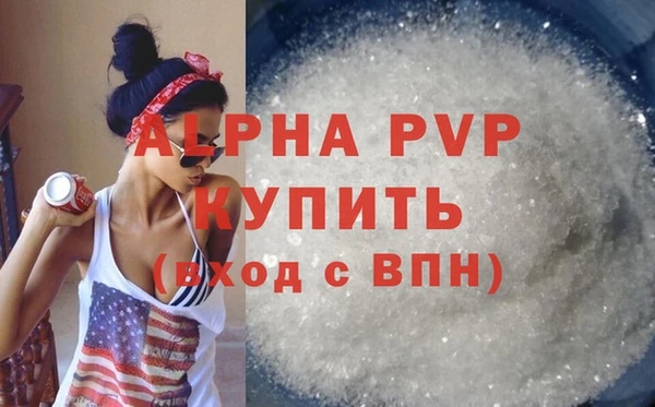 стафф Новокубанск