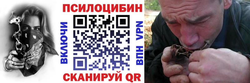 наркотики Подпорожье сайты даркнета наркотические препараты Галлюциногенные грибы ЛСД